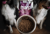 MARP HOLISTIC WHITE MIX SB - PRO MALÁ PLEMENA BEZ OBILOVIN 12KG - GRANULE PRO PSY