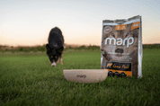 MARP VARIETY GRASS FIELD - JEHNĚČÍ 2KG - GRANULE PRO DOSPĚLÉ PSY