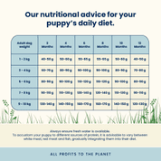 ALMO NATURE HOLISTIC PUPPY XS-S - S ČERSTVÝM KUŘECÍM 2KG - GRANULE PRO PSY