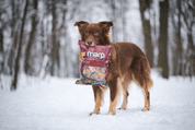 MARP TREATS BUFFALO CRUNCHIES - SUŠENÁ PRŮDUŠNICE 500G VELKÉ BALENÍ - PAMLSKY PRO PSY