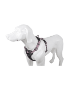 FARM COMPANY DELUXE NYLONOVÝ POSTROJ PRO PSY STŘÍBRNÝ S - POSTROJE PRO PSY