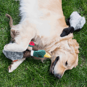 MULTIPET MIGRATORS BAŽANT PLYŠ SPEC. ZVUK 52 CM - HRAČKY PRO PSY