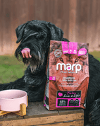 MARP HOLISTIC TURKEY S&L - KRŮTÍ SENIOR&LIGHT BEZ OBILOVIN 2KG - GRANULE PRO KASTROVANÉ FENY A PSY