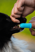 AMARAGO SILIKONOVÝ ZUBNÍ KARTÁČEK NA PRST - MIX BAREV - HYGIENA