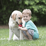 KONG HRAČKA GUMA CLASSIC L ČERVENÁ - HRAČKY PRO PSY