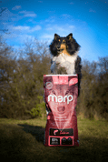 MARP HOLISTIC SALMON - LOSOSOVÉ BEZ OBILOVIN 12KG + TETRAPAK ZDARMA - GRANULE PRO ŠTĚŇATA