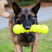 RUFF DAWG NEZNIČITELNÁ HRAČKA PRO PSY TYČ 30,5CM PRO VELKÉ PSY NAD 18 KG - HRAČKY PRO PSY