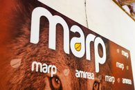 Co si představit pod Psím dnem s krmivem Marp?