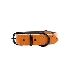 BAFPET Kožený obojek HERRY MINI, černé kování - Oranžová