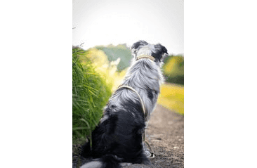 AMINELA FERRATA LANOVÉ VODÍTKO - BÉŽOVÁ