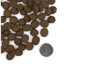 MARP HOLISTIC SALMON - LOSOSOVÉ BEZ OBILOVIN 12KG + DÁREK ZDARMA