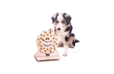 DŘEVĚNÝ HLAVOLAM CLOCK