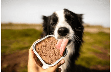 MARP LAMB VANIČKA PRO PSY S JEHNĚČÍM 100G