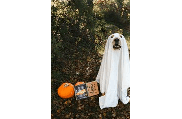 MARP HALLOWEENSKÝ PAMLSKOVÝ BOX