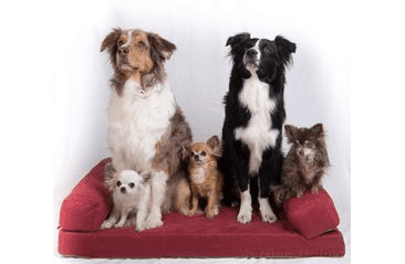 AMINELA PELÍŠEK S OKRAJEM 120X80CM HALF AND HALF ČERVENÁ/SVĚTLE ŠEDÁ