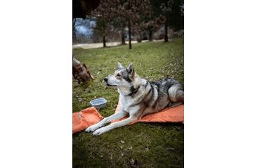 AMINELA PODLOŽKA S OBALEM 80X60 ORANŽOVÁ