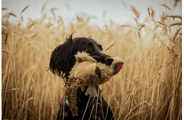 MULTIPET MIGRATORS BAŽANT PLYŠ SPEC. ZVUK 52 CM