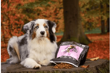 DOXNEO DUCK - KACHNÍ BEZ OBILOVIN 2KG