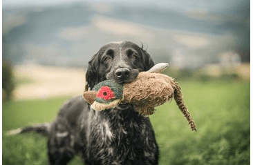 MULTIPET MIGRATORS BAŽANT PLYŠ SPEC. ZVUK 52 CM