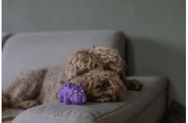 MULTIPET ORIGAMI PALS HROCH LATEX 10 CM