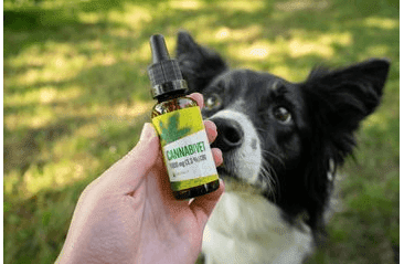 ENERGY CANNABIVET 30ML