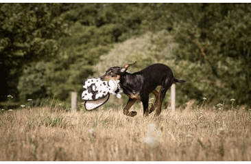 MULTIPET SQUEAKER MAT TUG KRÁVA PLYŠ 35,5 CM