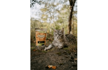 MARP HOLISTIC CHICKEN CAT - KUŘECÍ BEZ OBILOVIN PRO KOČKY 0,5KG