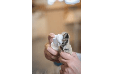 AMINELA CLEAN ČISTIČ NA TLAPKY PRO PSY 150ML