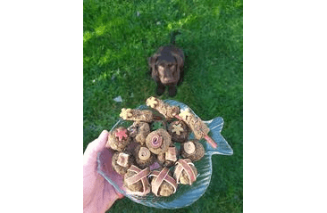 ANIMAL CAKE - DORT PRO PSY 120G