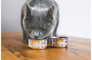 MARP HOLISTIC PLUS KONZERVA PRO KOČKY – TUŇÁKOVÉ FILETY VE VÝVARU 24X70G