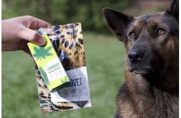 ENERGY CANNABIVET 30ML