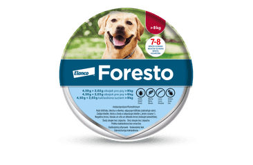 Foresto obojek pro psy nad 8kg 1ks - 70 cm Foresto pro psy nad 8kg