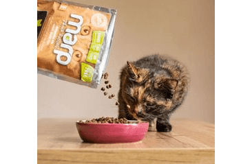 MARP HOLISTIC CHICKEN CAT - KUŘECÍ BEZ OBILOVIN PRO KOČKY 12KG