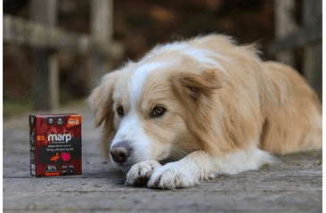 MARP HOLISTIC KRŮTA S KACHNOU TETRAPAK 12X375G