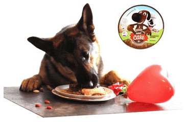 ANIMAL CAKE - DORT PRO PSY 120G