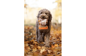 MARP HOLISTIC PLUS – FUNKČNÍ PAMLSKY NA PODPORU MOBILITY PRO PSY 80G