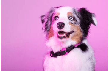 AMINELA FERRATA LANOVÝ OBOJEK - RŮŽOVÁ