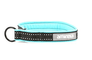 Aminela obojek polostahovací Sport & City 25mm/42cm + 5cm, tyrkysová Aminela obojek polostahovací Sport & City 25mm/42cm + 5cm, tyrkysová