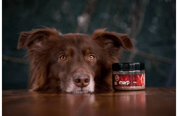 MARP HOLISTIC - KELPA 100G