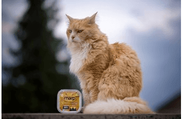 MARP CHICKEN VANIČKA PRO KOČKY S KUŘECÍM 100G