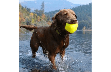 RUFF DAWG NEZNIČITELNÁ HRAČKA PRO PSY KOSTKA 8,9CM PRO VELKÉ PSY NAD 18 KG