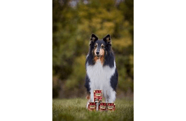 MARP LAMB KONZERVA PRO PSY S JEHNĚČÍM 400G