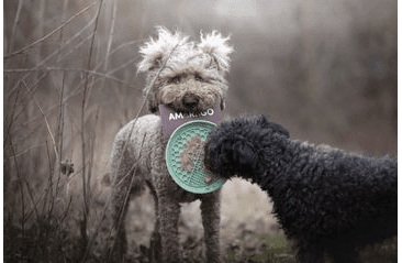 AMARAGO LÍZACÍ PODLOŽKA KULATÁ MISKA ZELENÁ