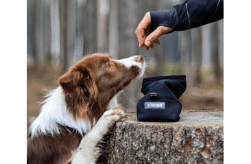 AMINELA PAMLSKOVNÍK ČERNÝ