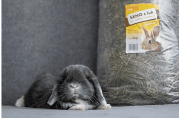 PUČÁLKA SENO - OTAVA 6KG (POUZE OSOBNÍ ODBĚR NEBO ROZVOZ PO PRAZE)