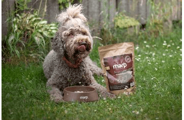 MARP HOLISTIC - PIVOVARSKÉ KVASNICE 500G