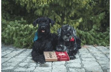 MARP  VÁNOČNÍ PAMLSKOVÝ BOX