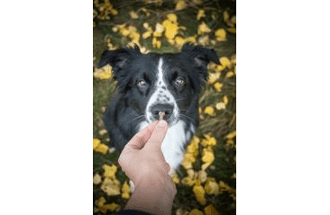 MARP SNACK - PAMLSKY S HOVĚZÍM MASEM 150G EXP 02/2025 SLEVA 30%