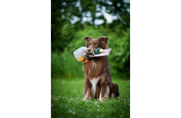 MULTIPET MIGRATORS DIVOKÁ KACHNA PLYŠ 38 CM