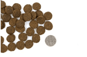 DOXNEO DUCK - KACHNÍ BEZ OBILOVIN VZOREK 70G